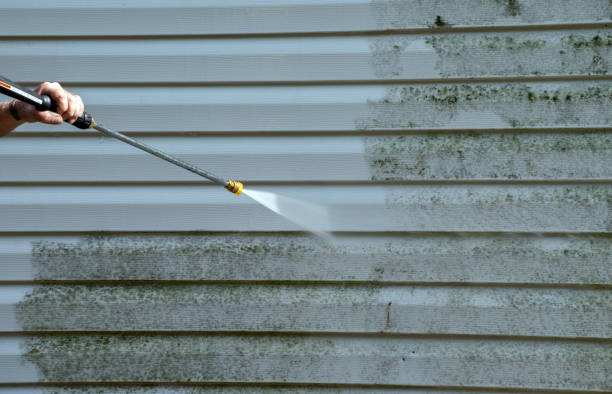 Best Sidewalk Pressure Washing  in Grosse Pointe, MI