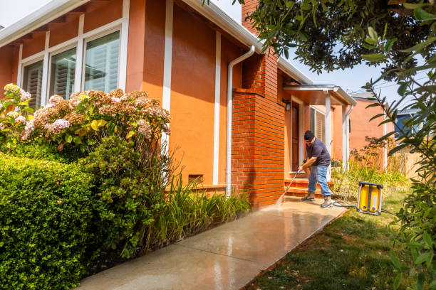 Best Power Washing Near Me  in Grosse Pointe, MI